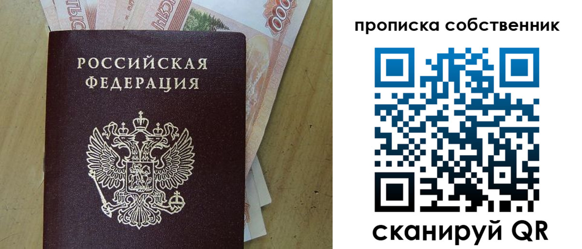 временная регистрация гарантия в Сланцах